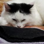 20180616_194953.jpg