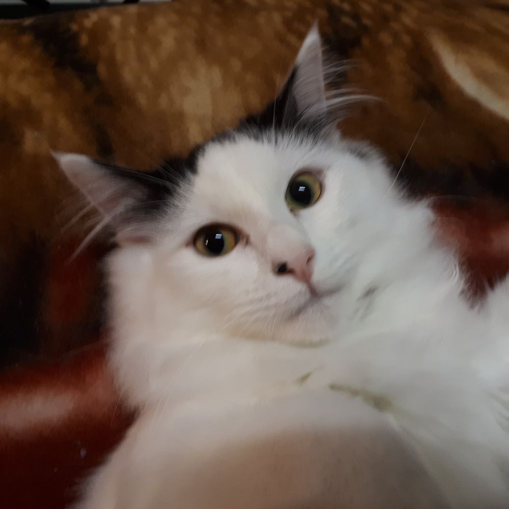 This face! So expressive