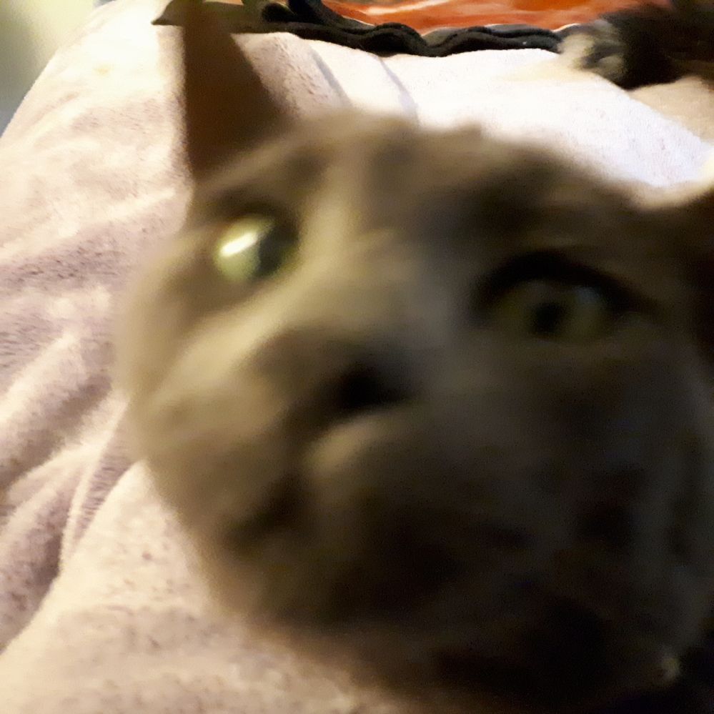 Selfie time