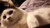20180911_192237.jpg