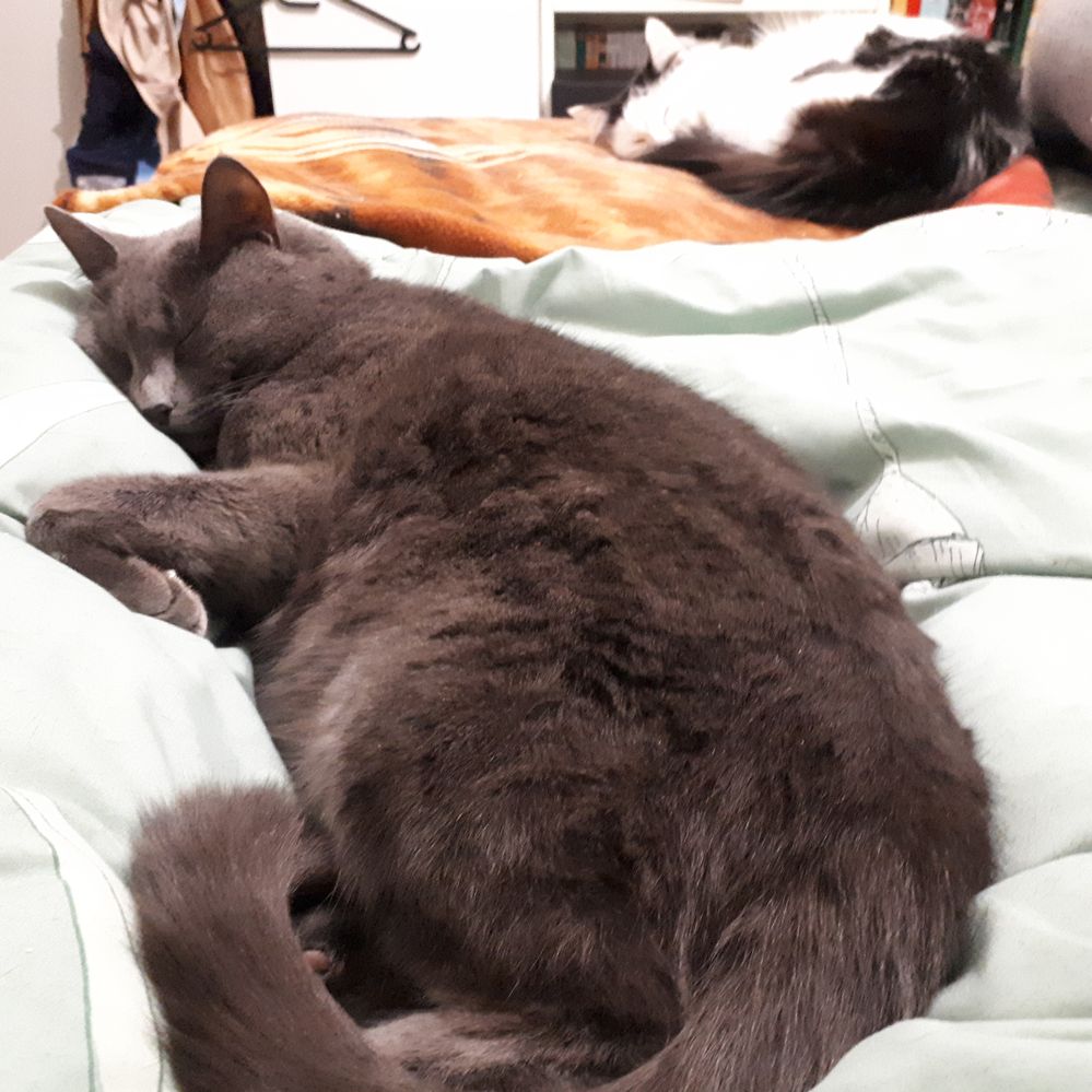 2019-07-20 21.18.39.jpg