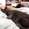 Foreground - Mr A Background - Jasper