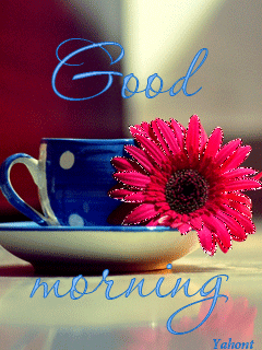 1 bGqlCMb3wa9P116WHCT9bw.gif