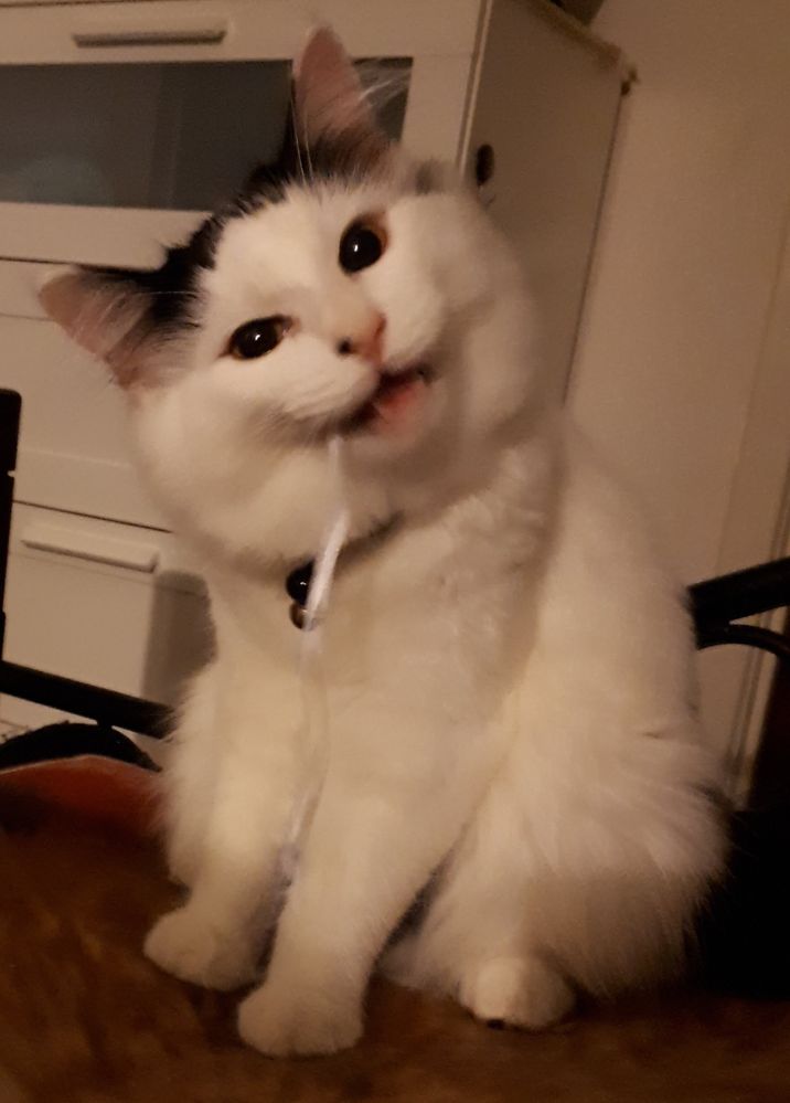 20180428_215228.jpg