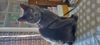 20201228_163751.jpg