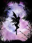 Profile (Pixie)